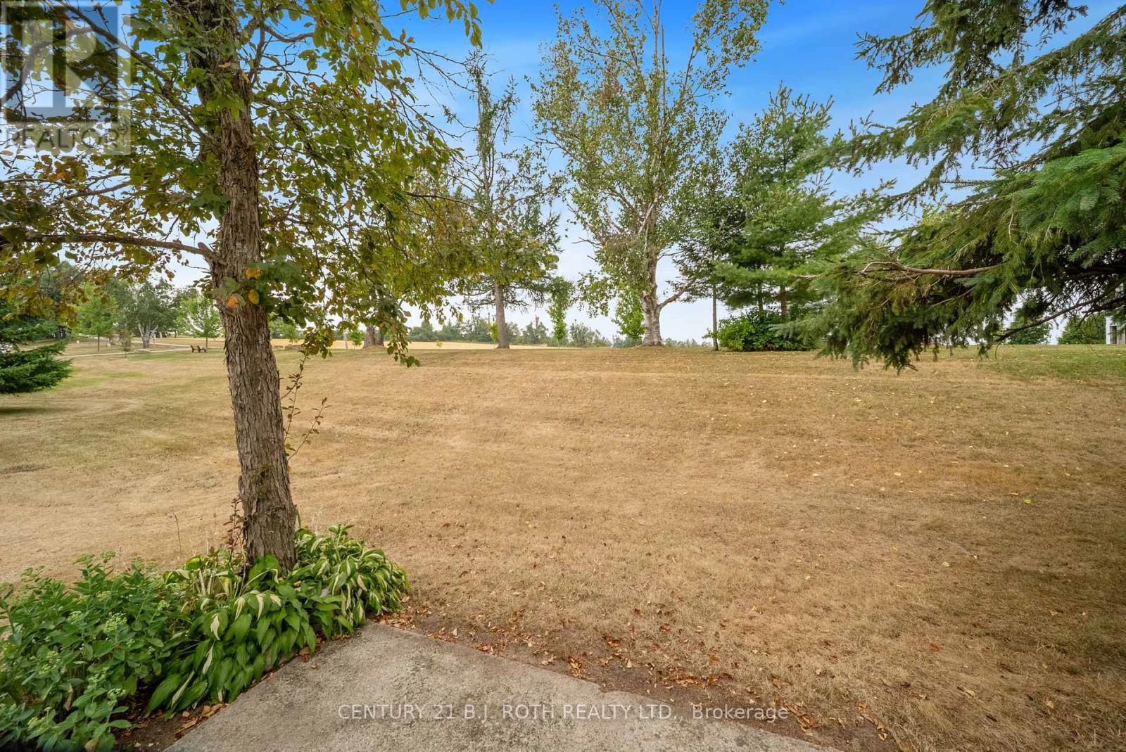 46 Cameron Drive, Oro-Medonte, Ontario  L0L 1T0 - Photo 21 - S12343736