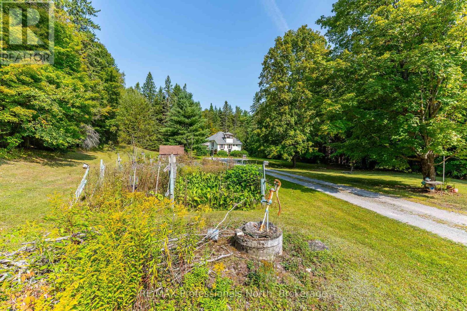 Lorem Ipsum Dolor Sit Am, Minden Hills, Ontario  K0M  - Photo 4 - DEMO28856433
