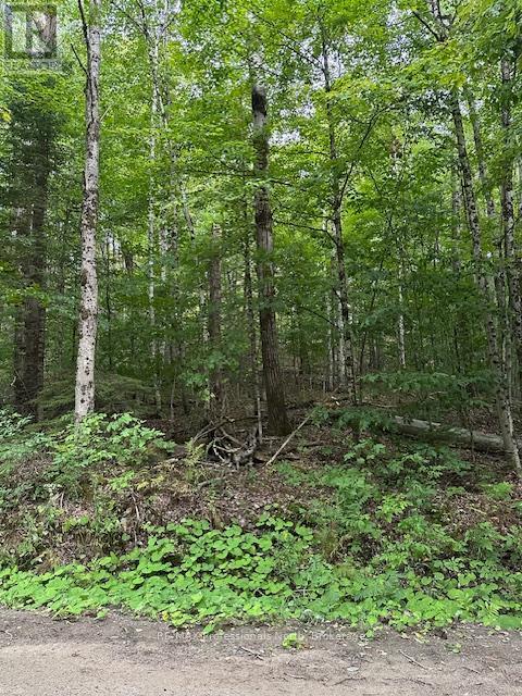 Lot Silverwood Road, Minden Hills, Ontario  K0M 2K0 - Photo 10 - X12119610