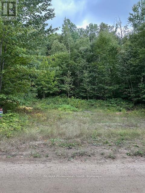Lot Silverwood Road, Minden Hills, Ontario  K0M 2K0 - Photo 13 - X12119610