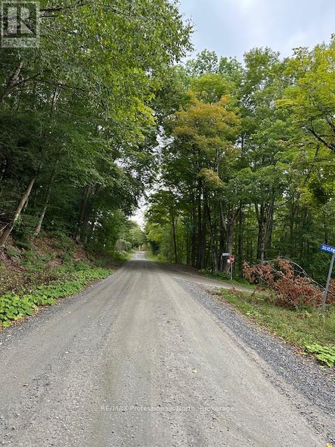 Lot Silverwood Road, Minden Hills, Ontario  K0M 2K0 - Photo 16 - X12119610