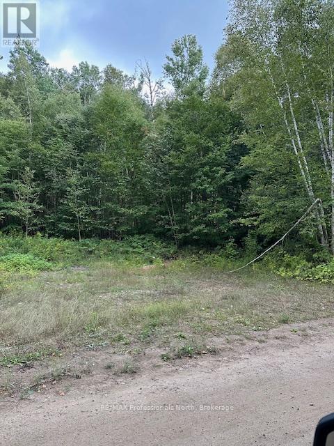 Lot Silverwood Road, Minden Hills, Ontario  K0M 2K0 - Photo 15 - X12119610