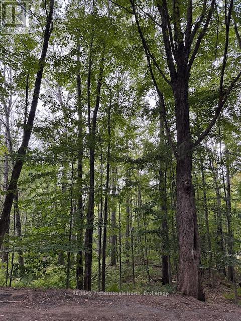 Lot Silverwood Road, Minden Hills, Ontario  K0M 2K0 - Photo 18 - X12119610