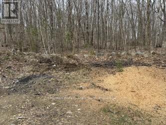 Lot Silverwood Road, Minden Hills, Ontario  K0M 2K0 - Photo 9 - X12119610