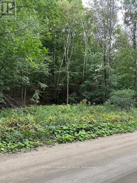 Lot Silverwood Road, Minden Hills, Ontario  K0M 2K0 - Photo 23 - X12119610