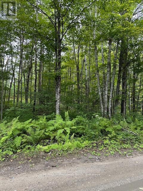 Lot Silverwood Road, Minden Hills, Ontario  K0M 2K0 - Photo 19 - X12119610