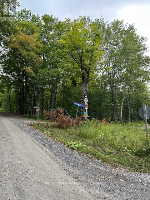 Lot Silverwood Road, Minden Hills, Ontario  K0M 2K0 - Photo 2 - X12119610