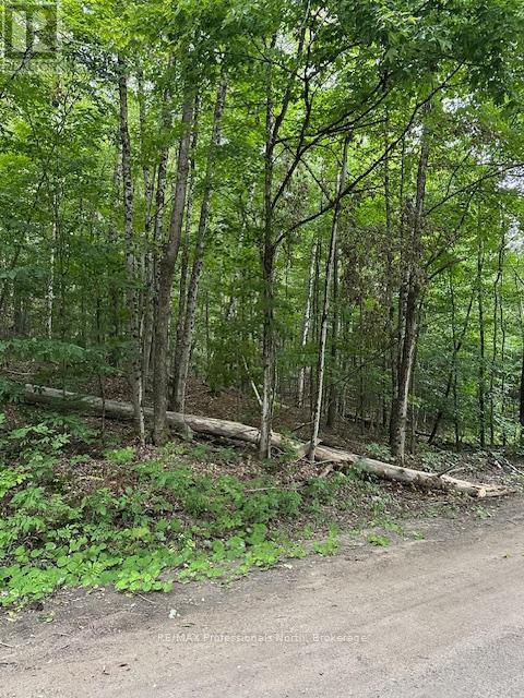 Lot Silverwood Road, Minden Hills, Ontario  K0M 2K0 - Photo 21 - X12119610