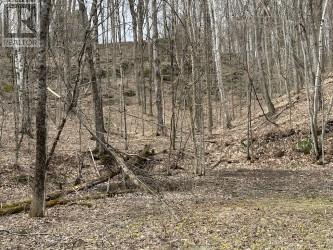 Lot Silverwood Road, Minden Hills, Ontario  K0M 2K0 - Photo 5 - X12119610