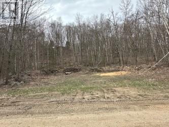 Lot Silverwood Road, Minden Hills, Ontario  K0M 2K0 - Photo 6 - X12119610