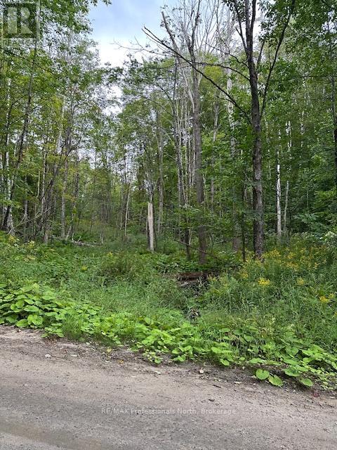 Lot Silverwood Road, Minden Hills, Ontario  K0M 2K0 - Photo 7 - X12119610
