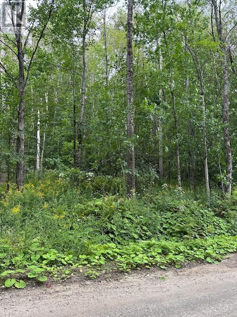 Lot Silverwood Road, Minden Hills, Ontario  K0M 2K0 - Photo 20 - X12119610