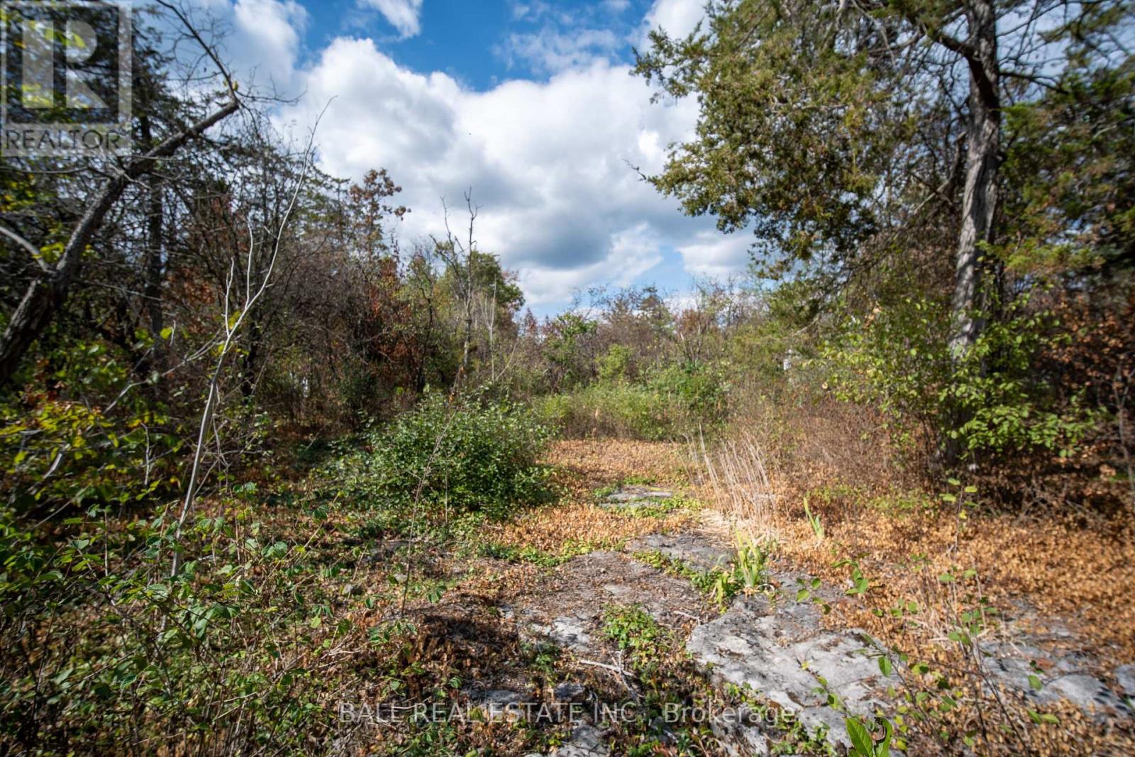 0 Snake Point Road, Kawartha Lakes, Ontario  K0M 1A0 - Photo 10 - X12400930