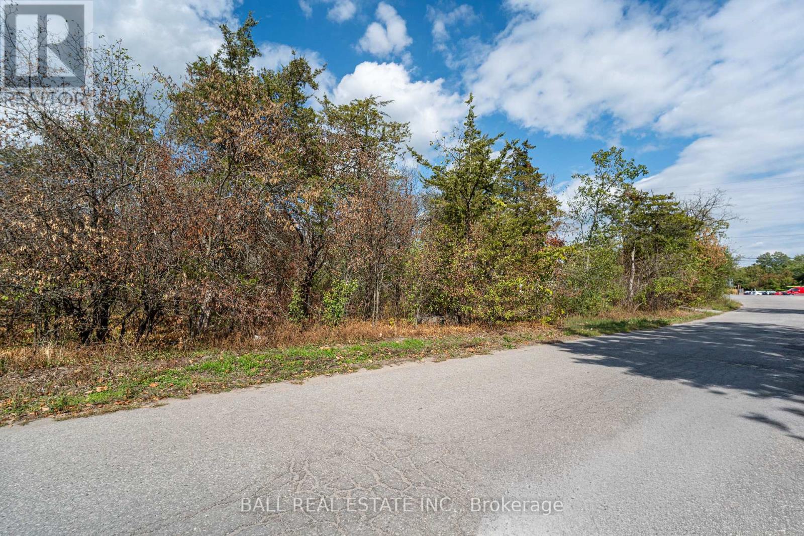 0 Snake Point Road, Kawartha Lakes, Ontario  K0M 1A0 - Photo 5 - X12400930