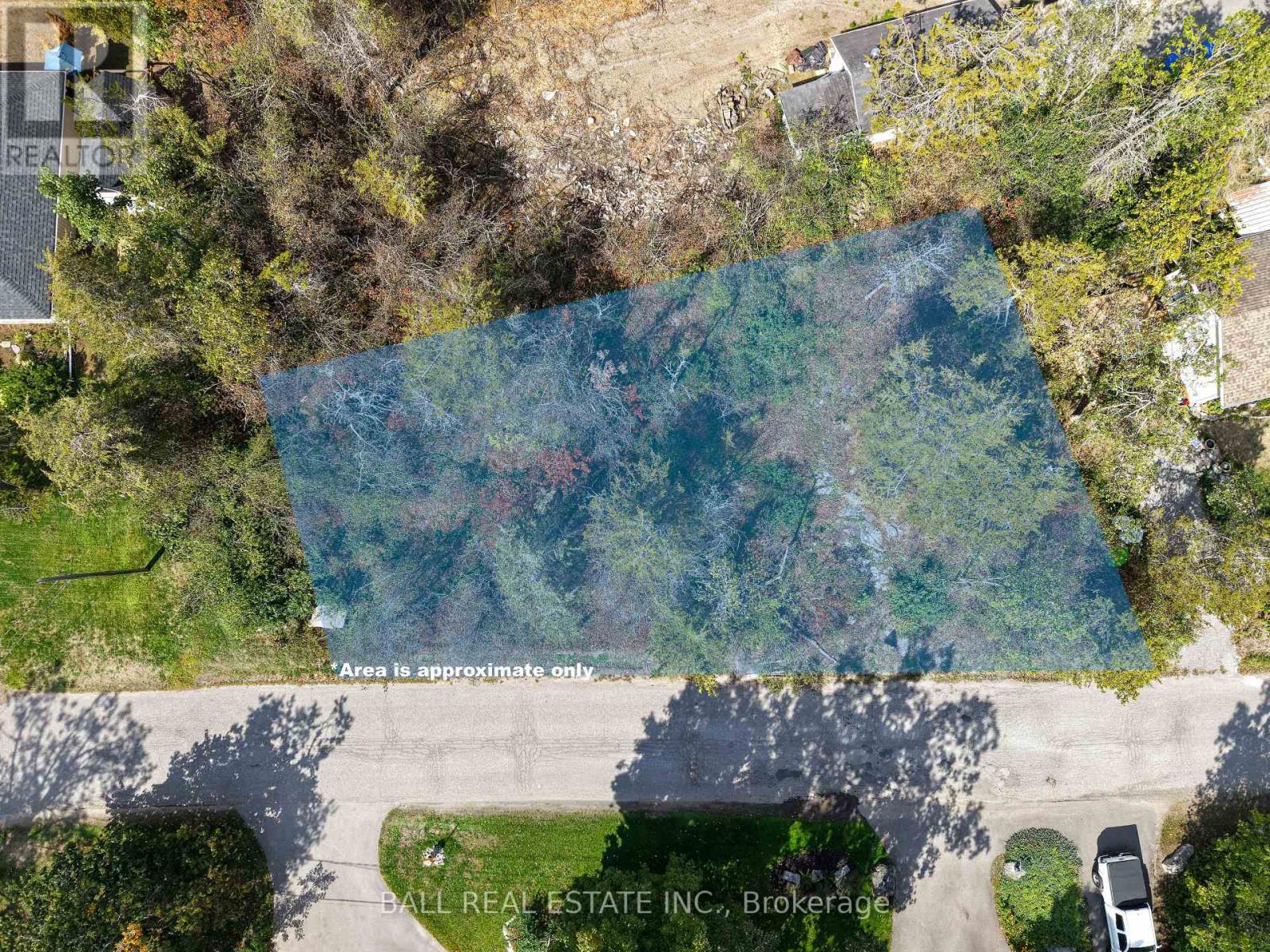 0 Snake Point Road, Kawartha Lakes, Ontario  K0M 1A0 - Photo 6 - X12400930