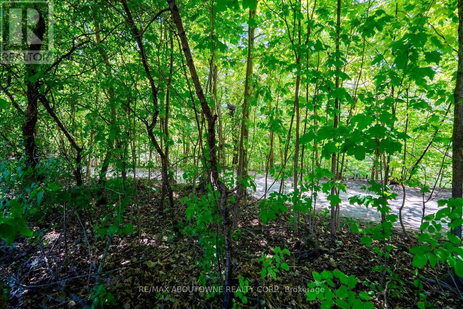 Lorem Ipsum Dolor Sit Amet, Oakville, Ontario  L6H  - Photo 47 - DEMO28857021