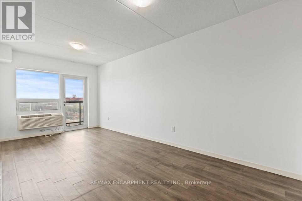 302 - 220 Cannon Street E, Hamilton, Ontario  L8L 2B1 - Photo 3 - X12401050