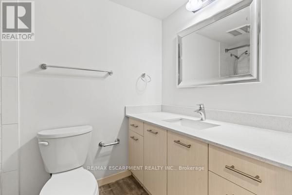 302 - 220 Cannon Street E, Hamilton, Ontario  L8L 2B1 - Photo 6 - X12401050