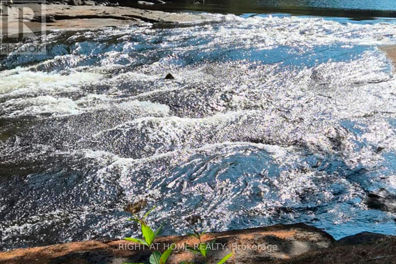 524 Balsam Chutes Road, Huntsville (Stephenson), Ontario  P0B 1L0 - Photo 5 - X12401057