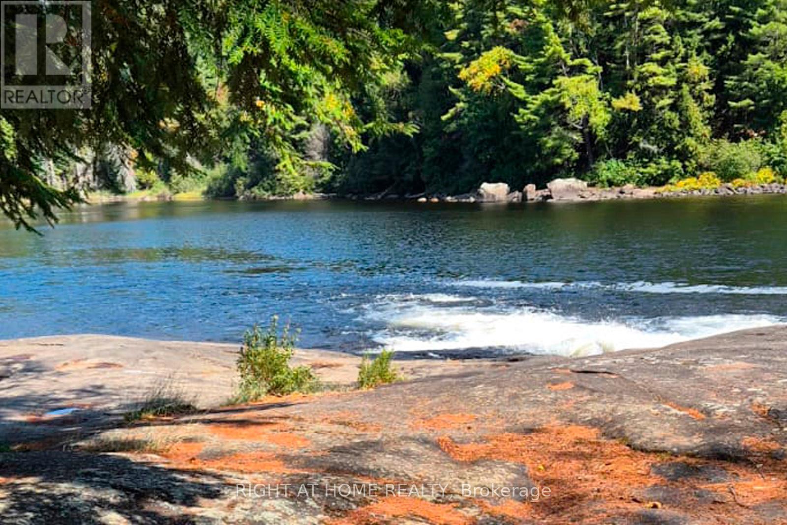 524 Balsam Chutes Road, Huntsville (Stephenson), Ontario  P0B 1L0 - Photo 6 - X12401057