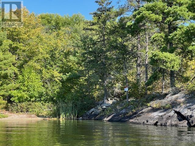 G 734 Rainy Lake, Fort Frances, Ontario  P9A 3M3 - Photo 10 - TB252911