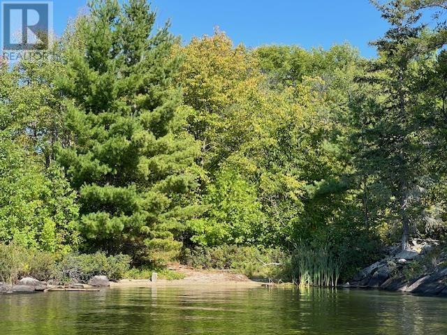 G 734 Rainy Lake, Fort Frances, Ontario  P9A 3M3 - Photo 11 - TB252911