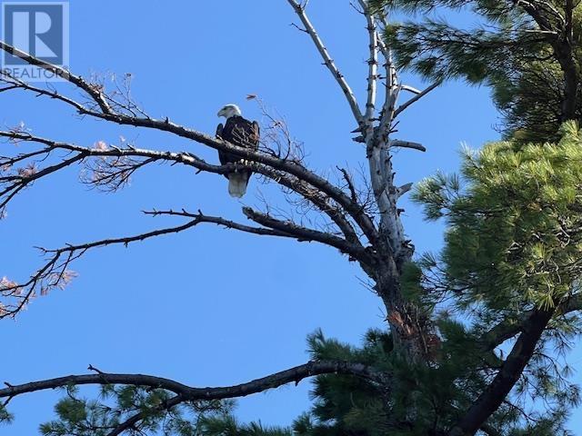 G 734 Rainy Lake, Fort Frances, Ontario  P9A 3M3 - Photo 12 - TB252911