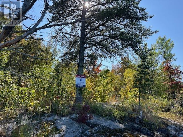 G 734 Rainy Lake, Fort Frances, Ontario  P9A 3M3 - Photo 15 - TB252911