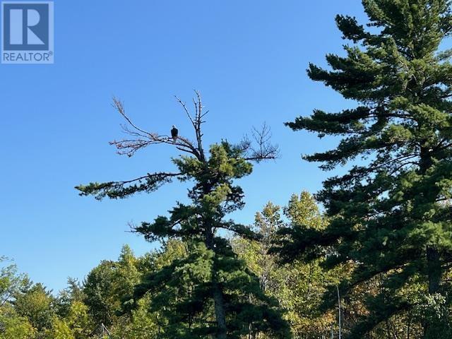 G 734 Rainy Lake, Fort Frances, Ontario  P9A 3M3 - Photo 16 - TB252911
