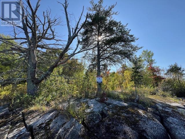 G 734 Rainy Lake, Fort Frances, Ontario  P9A 3M3 - Photo 18 - TB252911