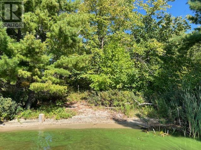 G 734 Rainy Lake, Fort Frances, Ontario  P9A 3M3 - Photo 21 - TB252911