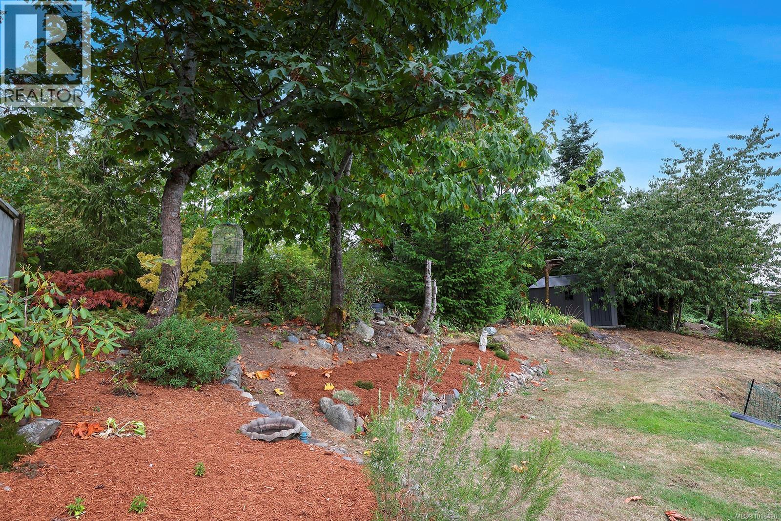 5629 1st St, Union Bay, British Columbia  V0R 3B0 - Photo 31 - 1013426