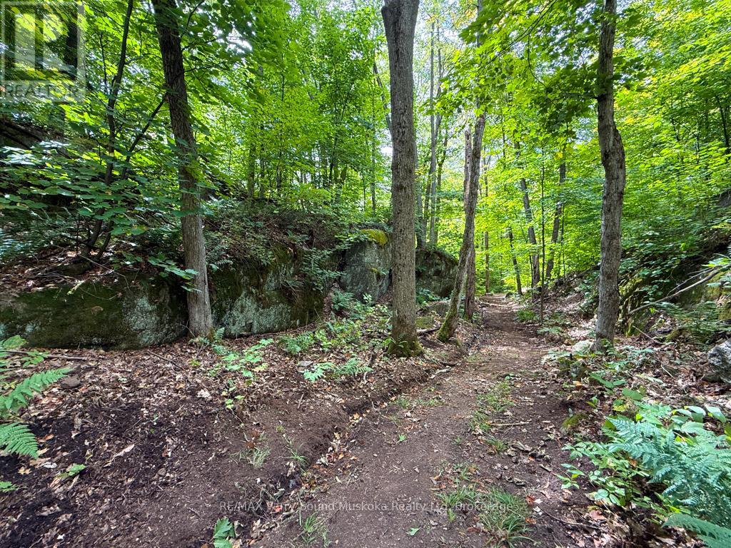 71 Crown Retreats Road, Whitestone, Ontario  P0A 1G0 - Photo 31 - X12401331