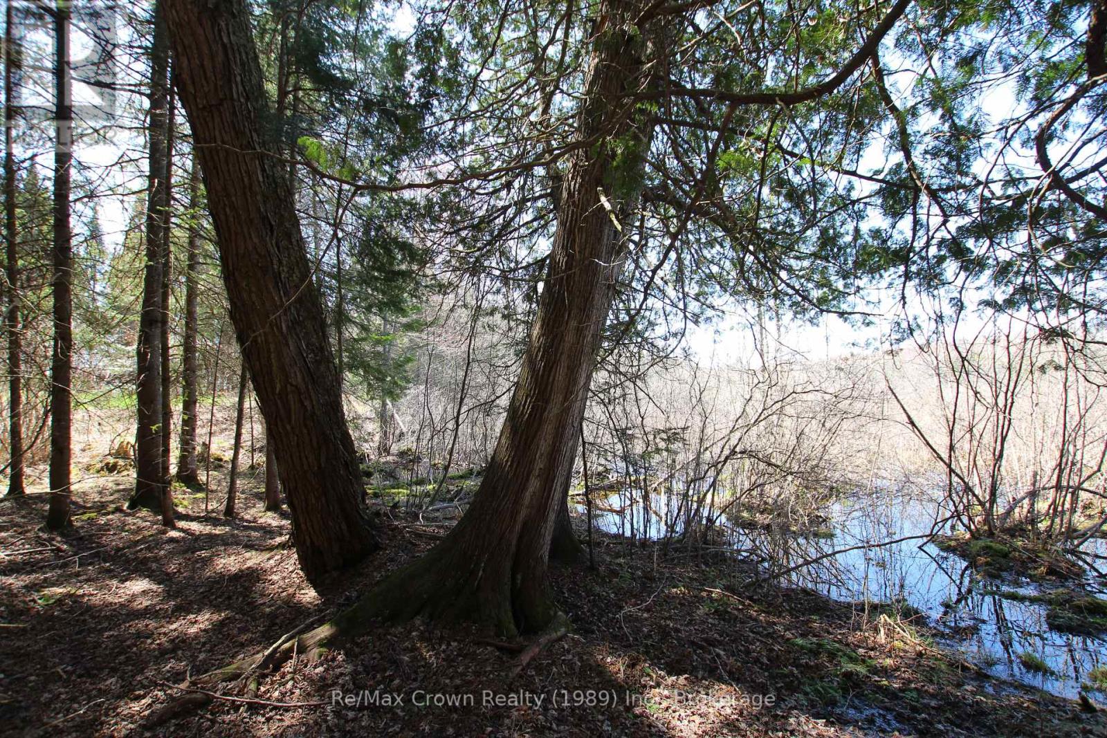 0 534 Hwy Highway, Parry Sound Remote Area, Ontario  P0H 2R0 - Photo 19 - X12139978