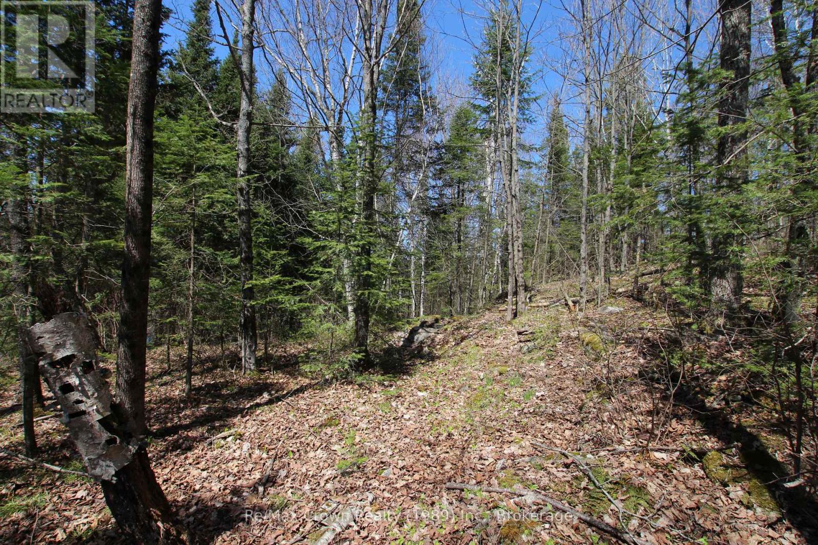 0 534 Hwy Highway, Parry Sound Remote Area, Ontario  P0H 2R0 - Photo 20 - X12139978