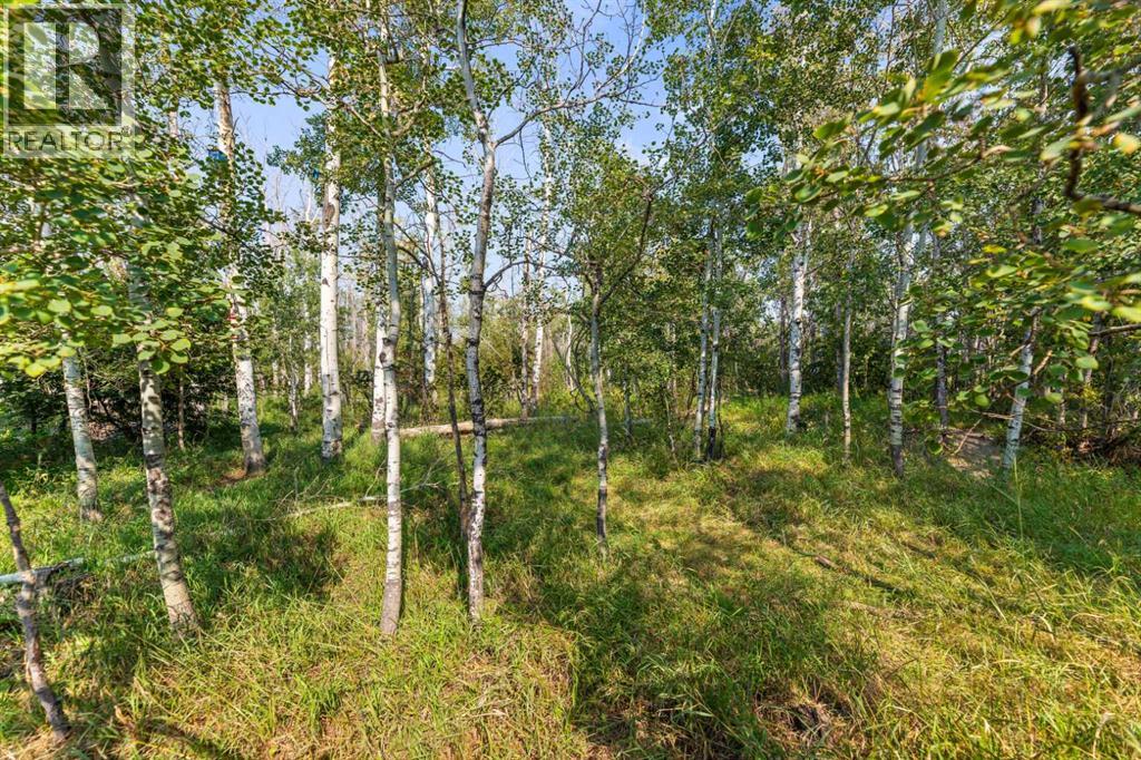 Lorem Ipsum Dolor, Strathmore, Alberta  T1P  - Photo 7 - DEMO28857944