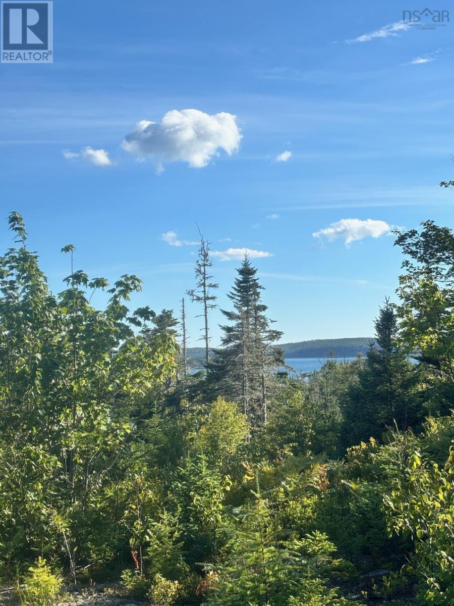 Lot 2 Highway 7, Port Dufferin, Nova Scotia  B0J 2R0 - Photo 11 - 202523230