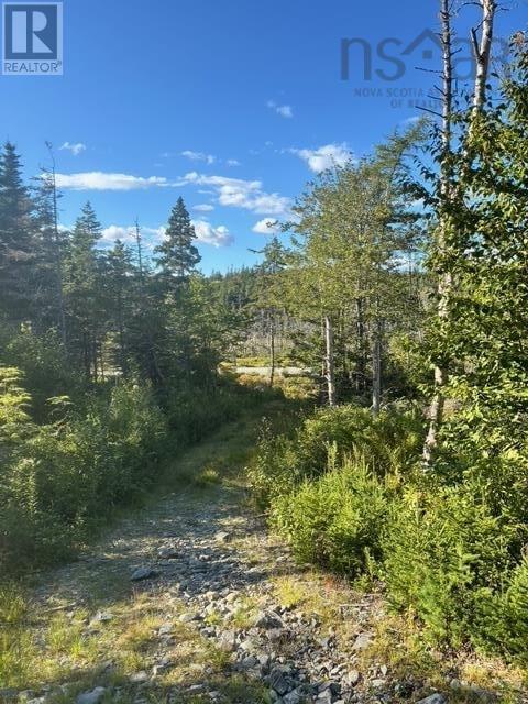 Lot 2 Highway 7, Port Dufferin, Nova Scotia  B0J 2R0 - Photo 23 - 202523230
