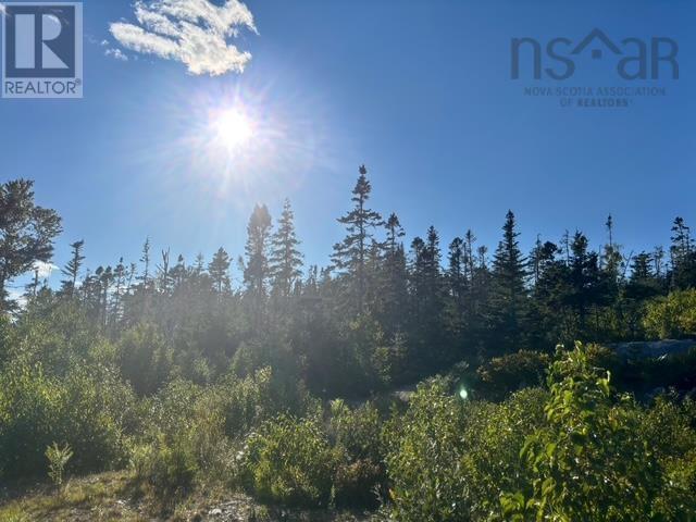 Lot 2 Highway 7, Port Dufferin, Nova Scotia  B0J 2R0 - Photo 7 - 202523230