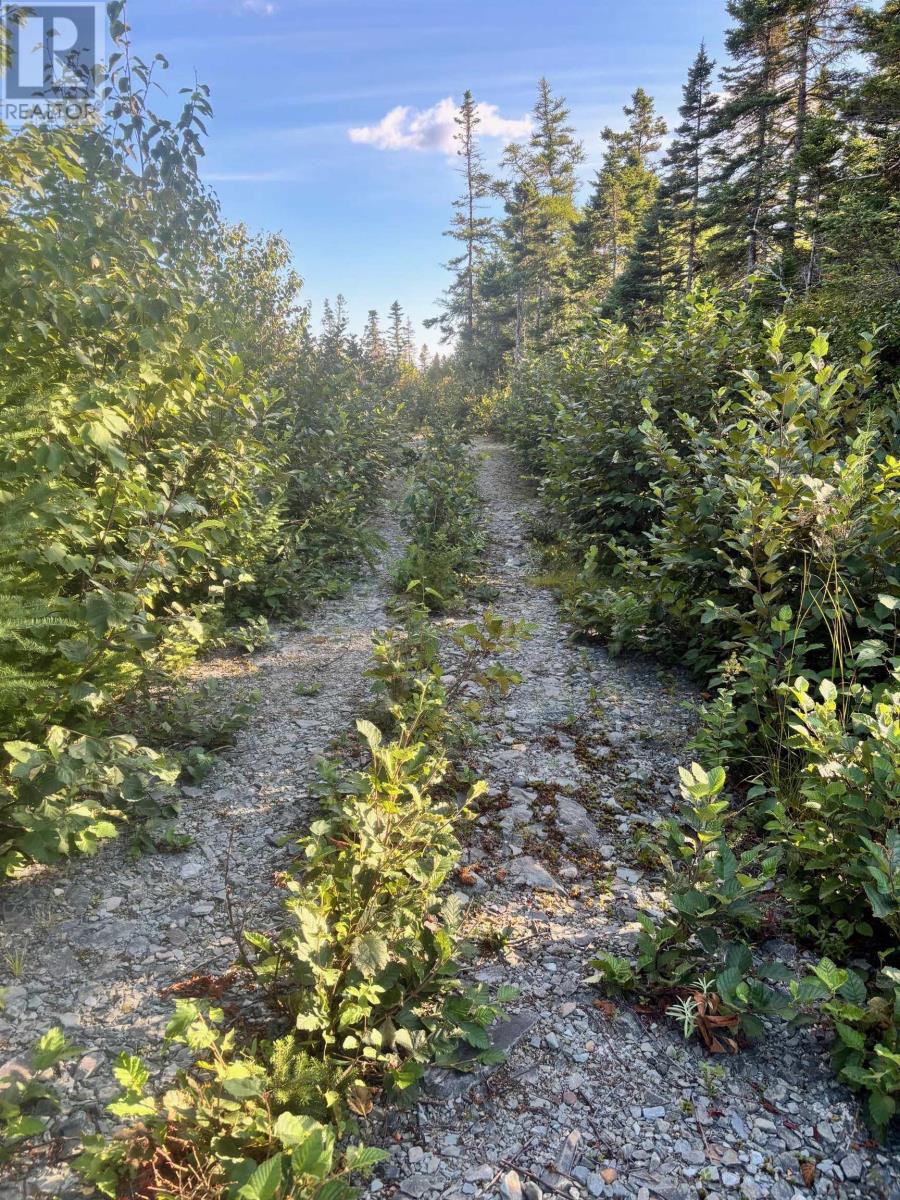 Lot 2 Highway 7, Port Dufferin, Nova Scotia  B0J 2R0 - Photo 12 - 202523230
