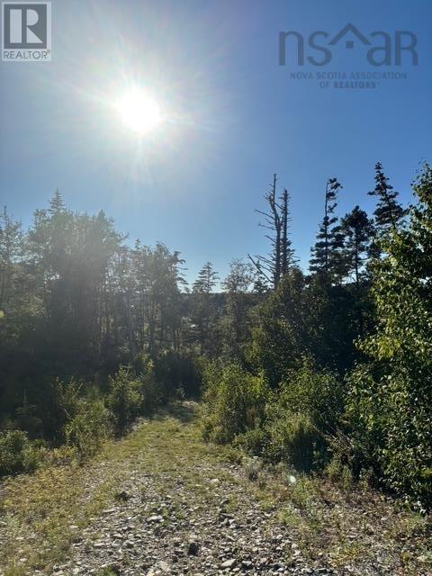 Lot 2 Highway 7, Port Dufferin, Nova Scotia  B0J 2R0 - Photo 22 - 202523230