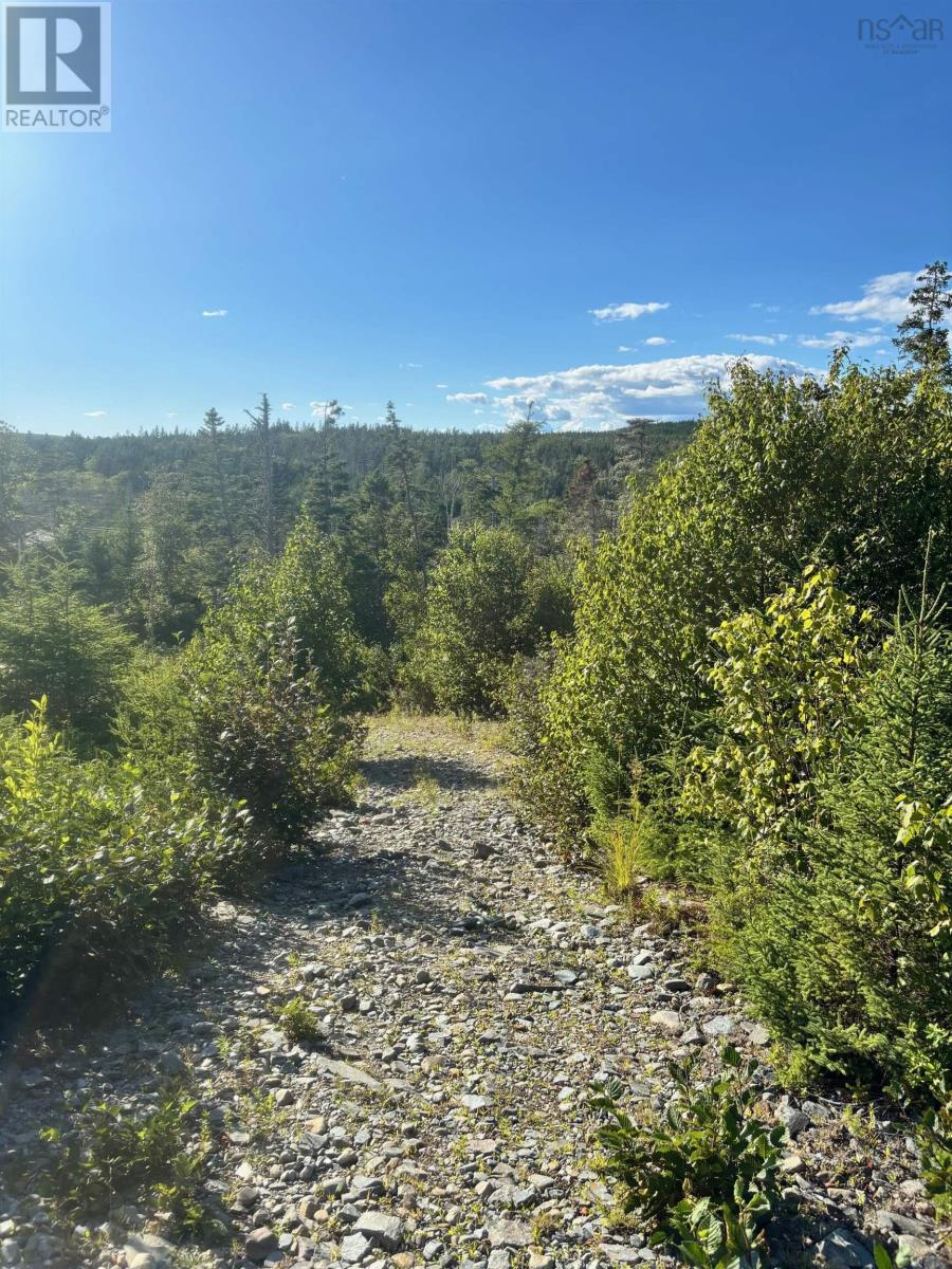 Lot 2 Highway 7, Port Dufferin, Nova Scotia  B0J 2R0 - Photo 4 - 202523230