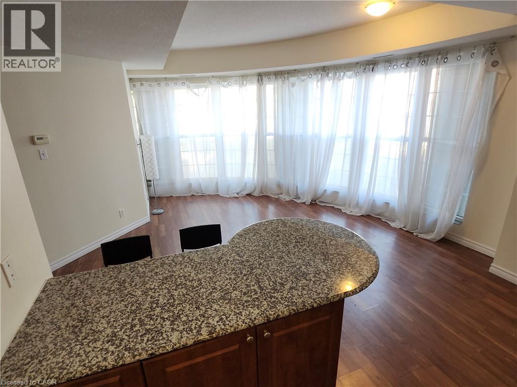 135 James Street Unit# 214, Hamilton, Ontario  L8P 2Z6 - Photo 19 - 40769500