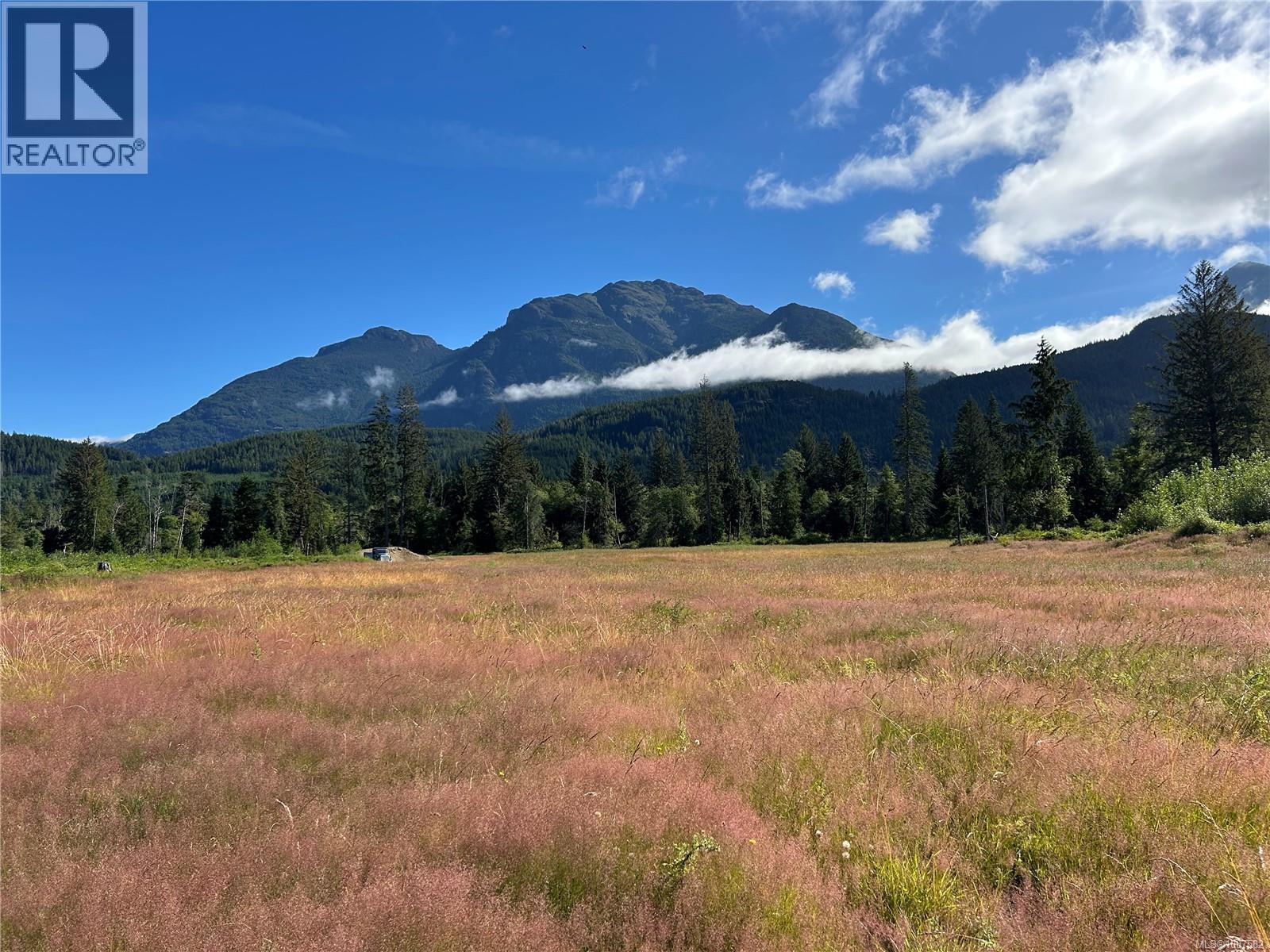 1845 Stowe Creek Rd, Sayward, British Columbia  V0P 1R0 - Photo 10 - 1007582