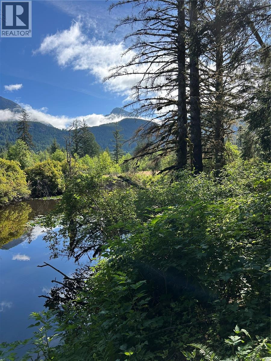 1845 Stowe Creek Rd, Sayward, British Columbia  V0P 1R0 - Photo 12 - 1007582