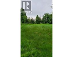 2220 Tamarack Street, Prince George, Ca
