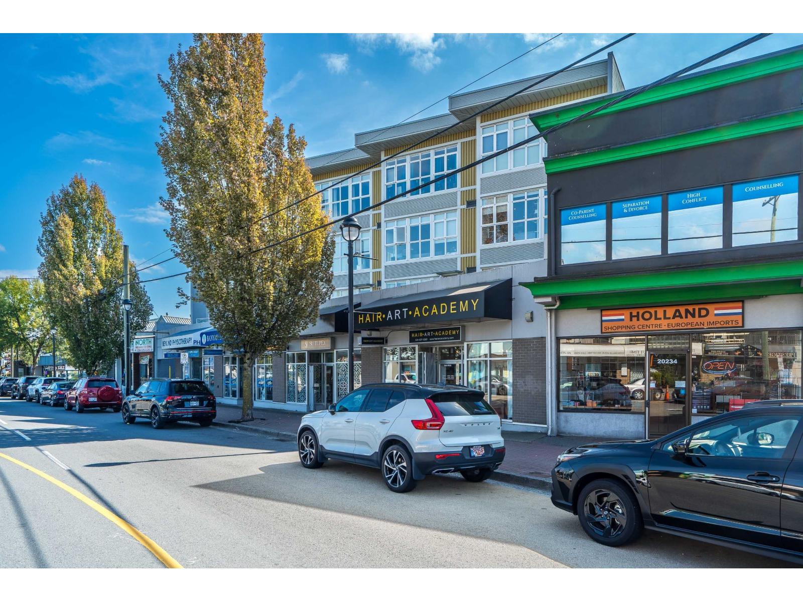 409 20238 Fraser Highway, Langley, British Columbia  V3A 4E6 - Photo 4 - R3046029