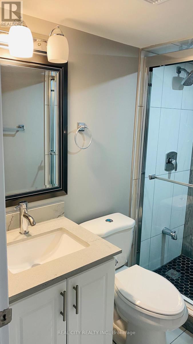 5953 Chorley Basement Place, Mississauga, Ontario L5M 5L8 - Photo 8 - W12401724