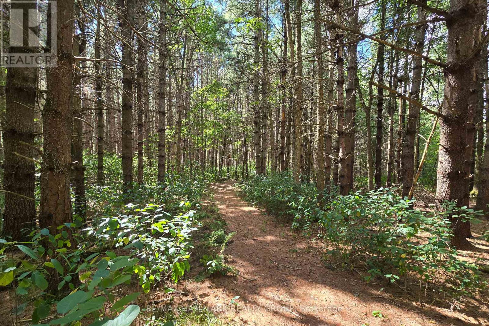 00 Upper Dwyer Hill Road, Ottawa, Ontario  K0A 1B0 - Photo 49 - X12296764