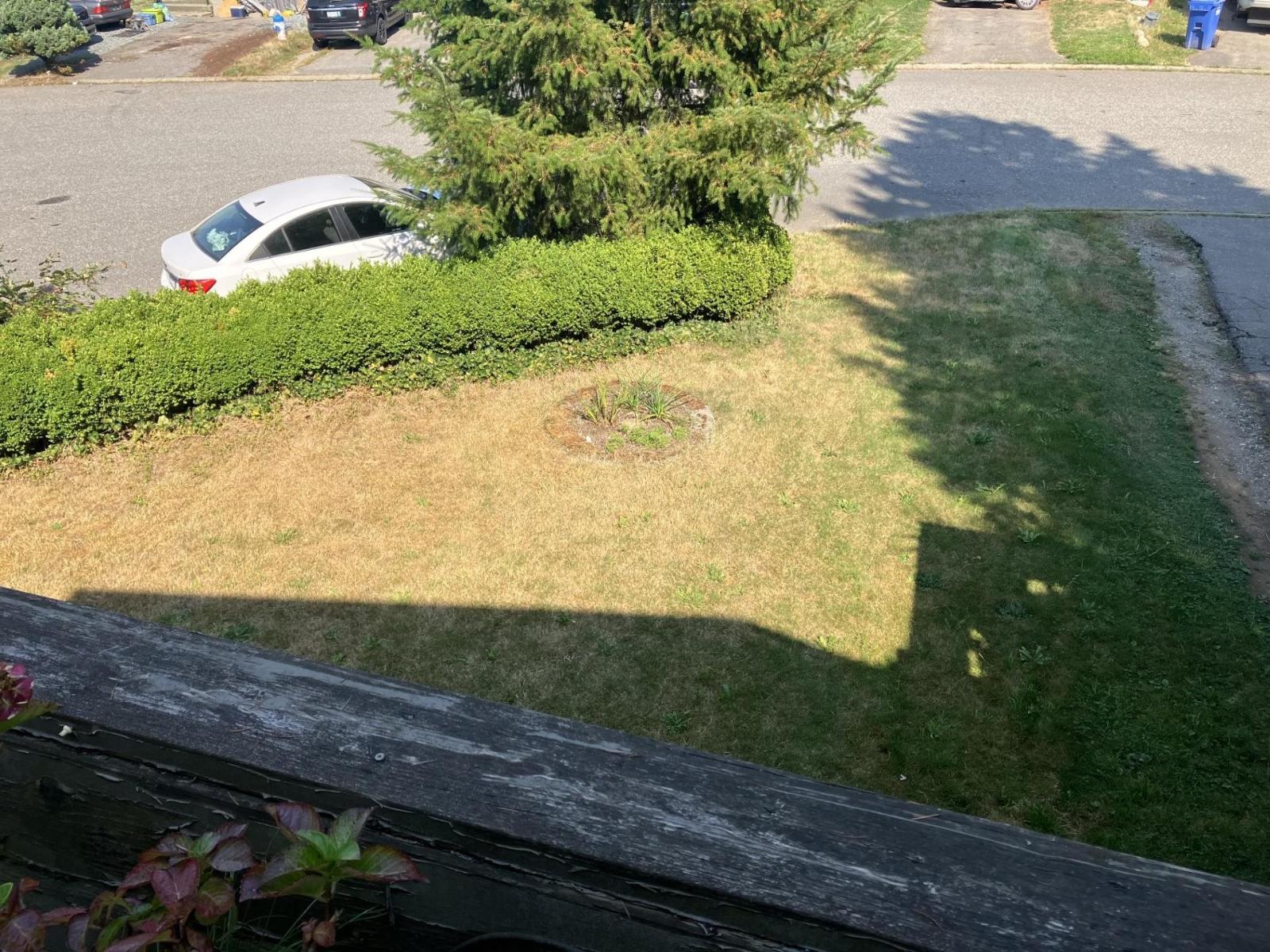 3470 Juniper Crescent, Abbotsford, British Columbia  V2S 7R1 - Photo 8 - R3041620